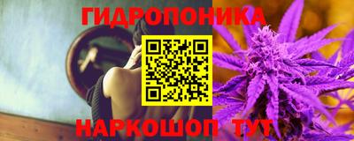 дурь Тара