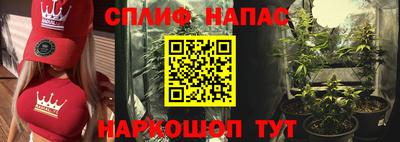 дурь Тара