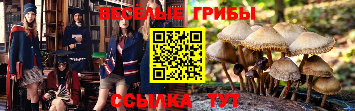 Осинники  Галлюциногенные грибы ЛСД  Вход с VPN 